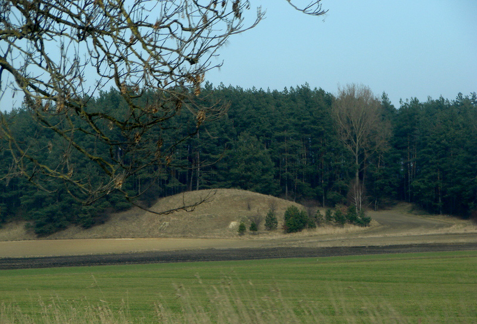 St. John’s Hill Motte
