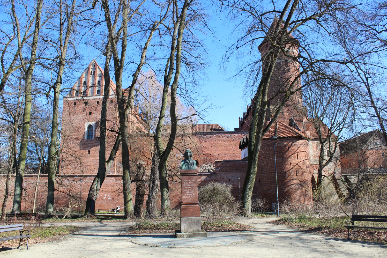 Nicolaus Copernicus Bust, Olsztyn